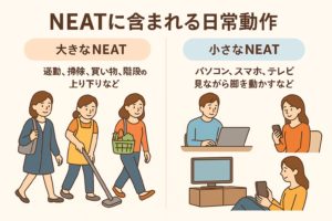 大きなNEAT・小さなNEAT