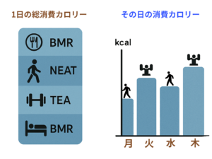 1日の総称費カロリーとその日の消費カロリー比較