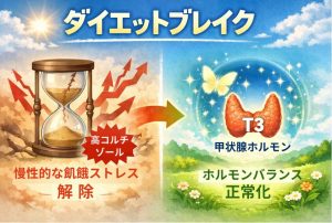 ダイエットブレイク