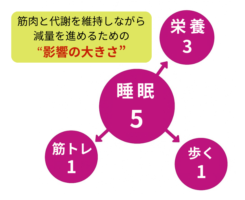 体脂肪だけを落とす減量・4つの影響の大きさ